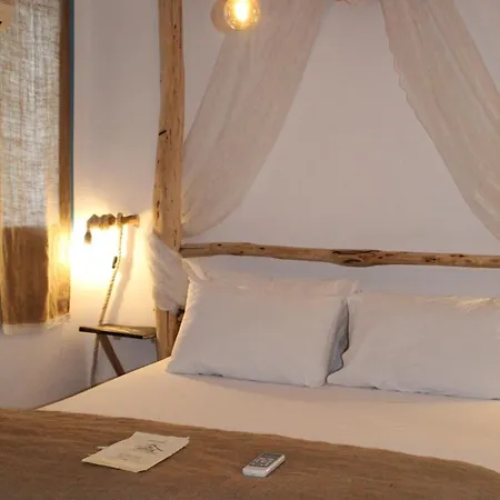 Auberge de jeunesse The House *