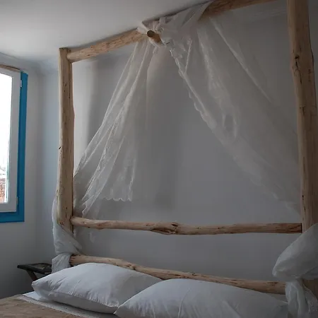 Hostel The House *
