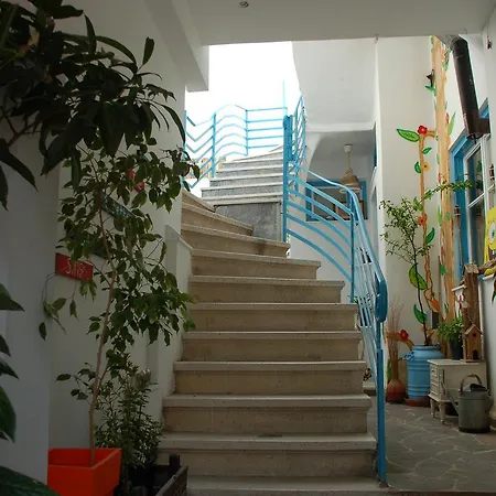 The House *
