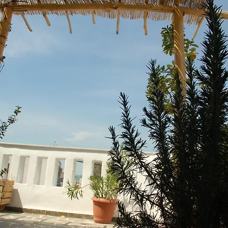 The House Athens
