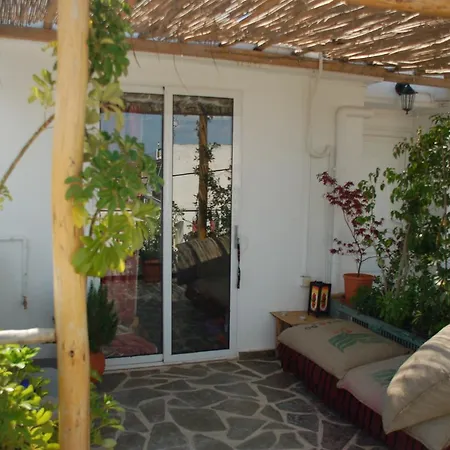 The House Hostel